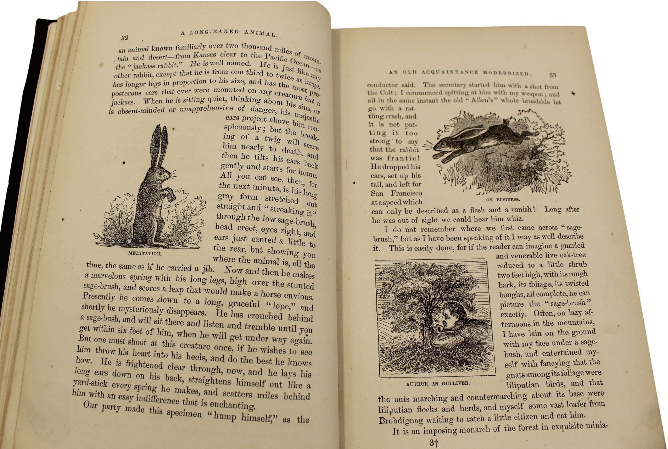 Roughing It by Mark Twain, First U.S. Edition, Later Printing, in Original Boards, 1872