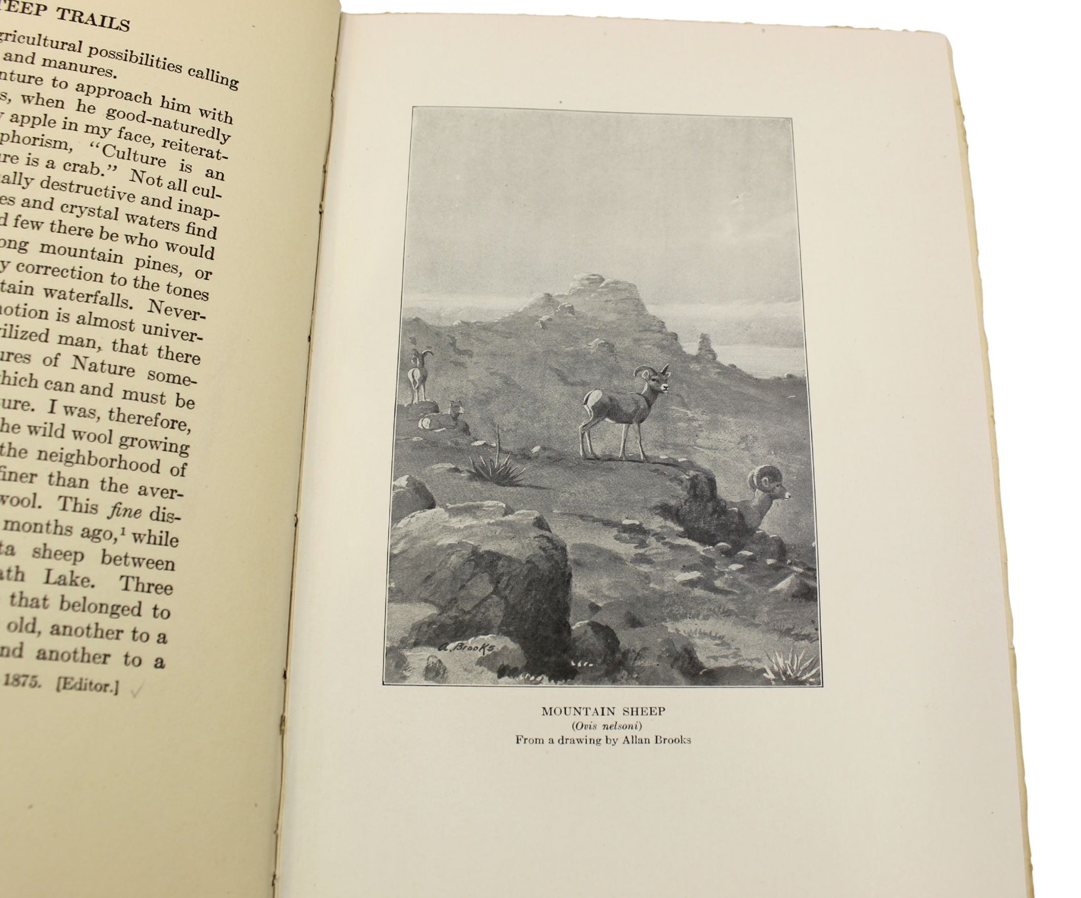 Steep Trails by John Muir, Large Paper Edition, Numbered 8 of 380, in Original Boards, 1918
