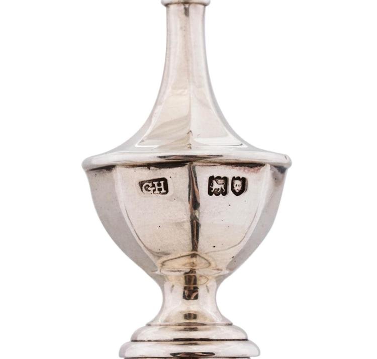 1911 Tiffany & Co. Diamond - Encrusted Sterling Silver Polo Trophy - The Great Republic