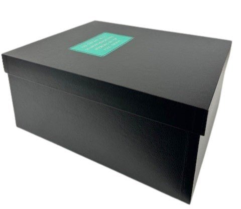 1911 Tiffany & Co. Diamond - Encrusted Sterling Silver Polo Trophy - The Great Republic