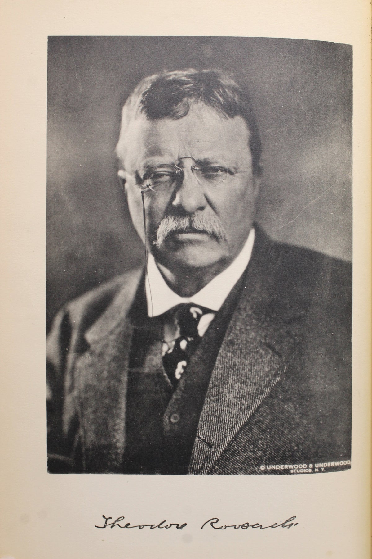 A Memorial to Theodore Roosevelt, Authorized by the State of New York Legislature, 1919