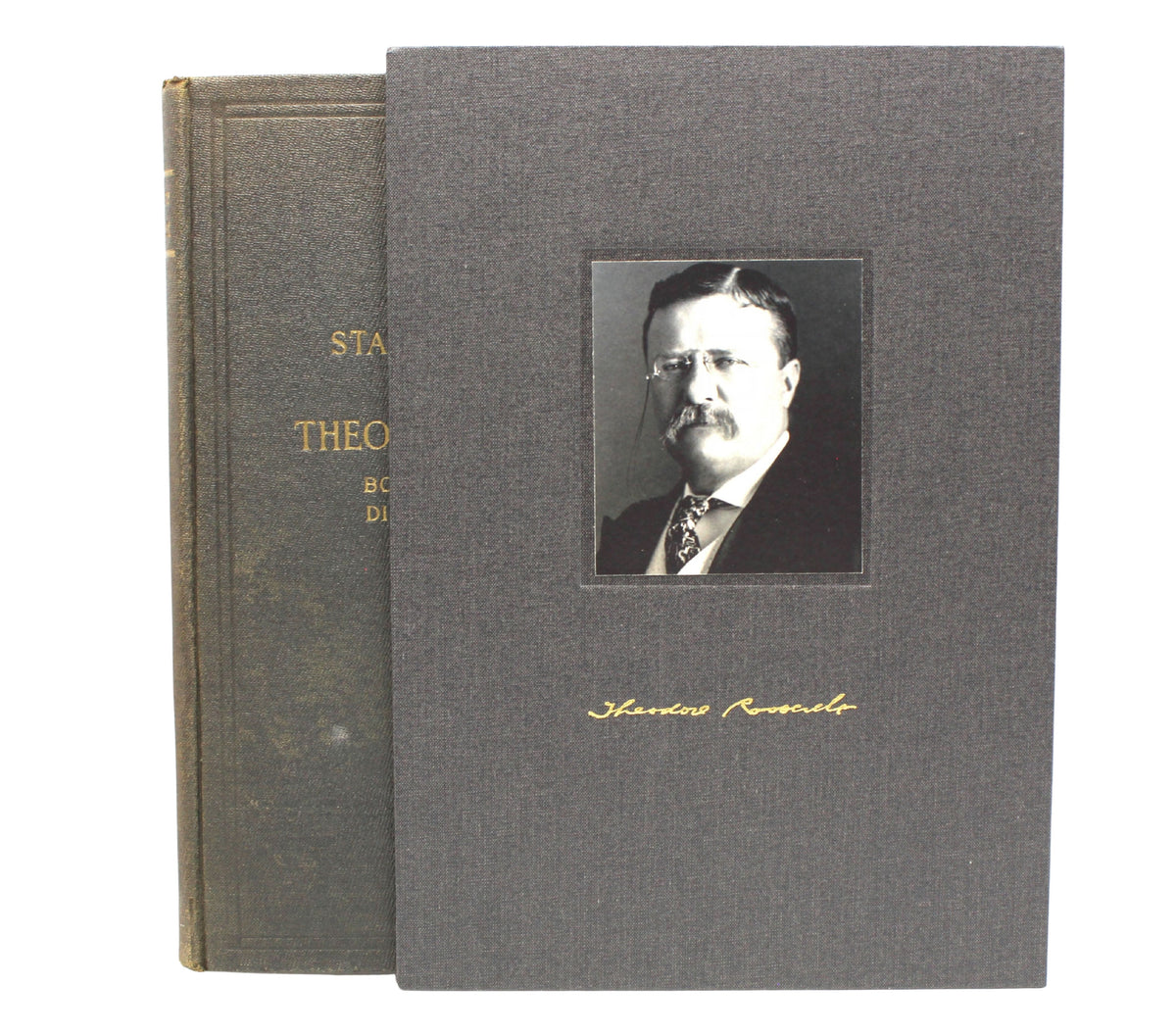 A Memorial to Theodore Roosevelt, Authorized by the State of New York Legislature, 1919
