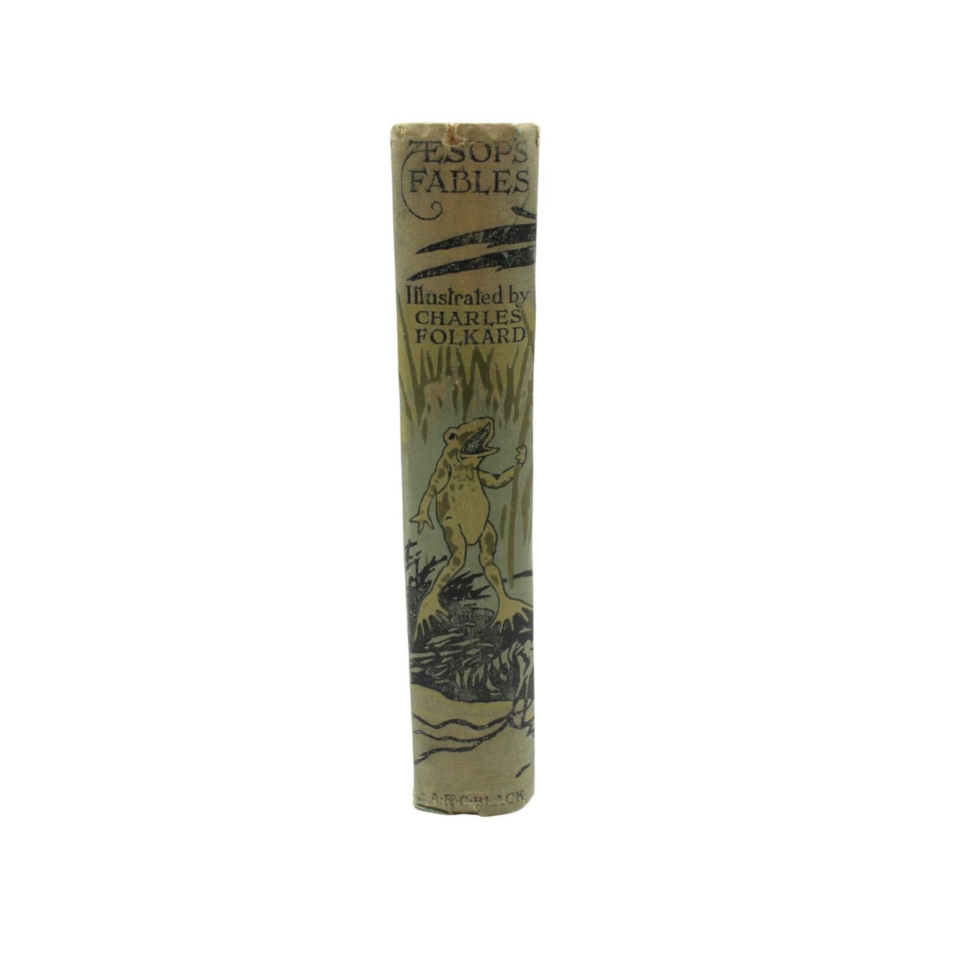 Aesop's Fables, Illustrated by Charles Folkard, 1916 - The Great Republic