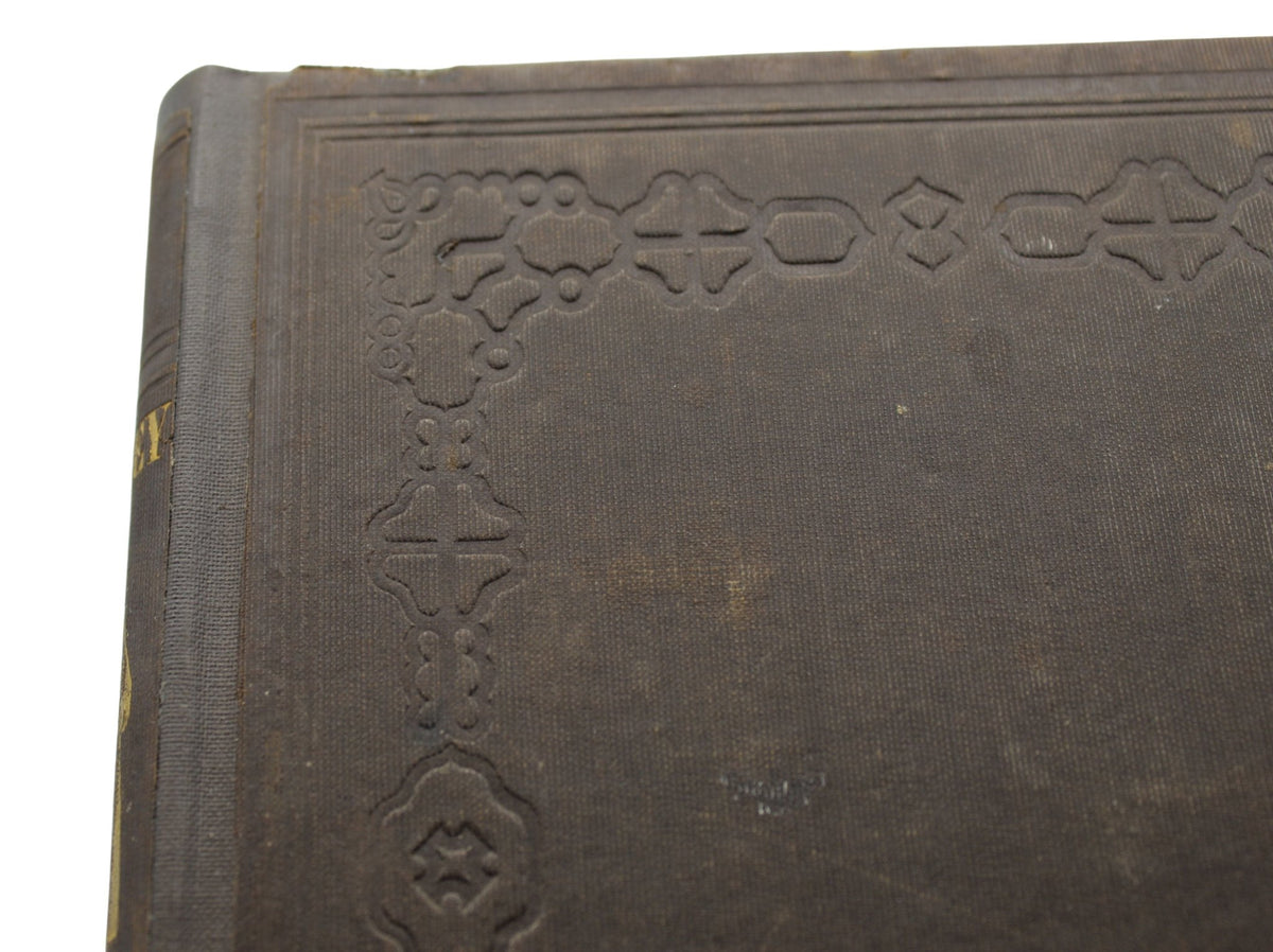Dombey and Son by Charles Dickens, Early American Edition, Illustrated, 1848 - The Great Republic