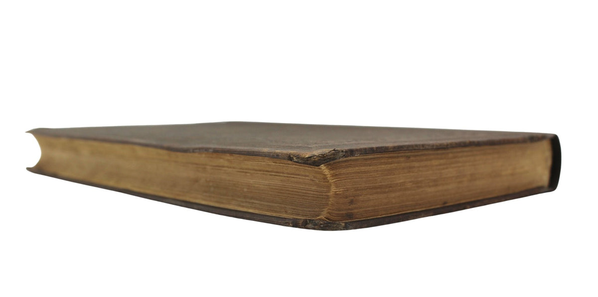 Dombey and Son by Charles Dickens, Early American Edition, Illustrated, 1848 - The Great Republic