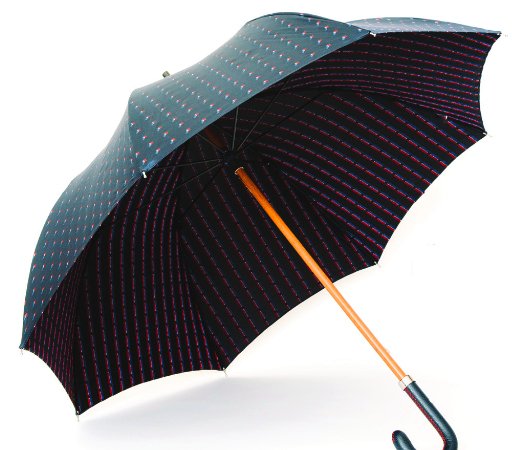 Elephant Umbrella - The Great Republic