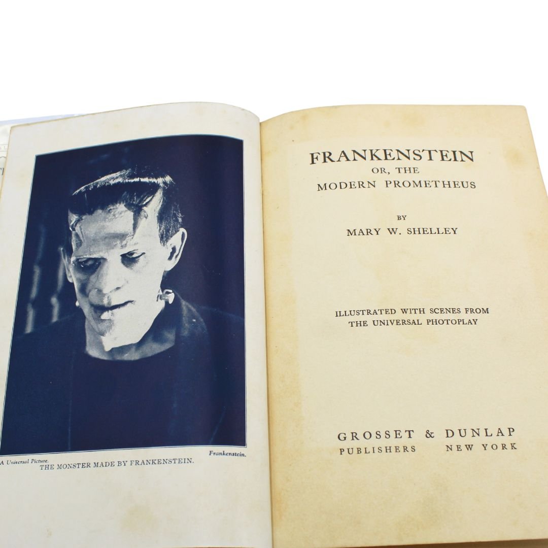 Frankenstein, or The Modern Prometheus by Mary W. Shelley, Grosset & Dunlap Photoplay Edition, 1931 - The Great Republic