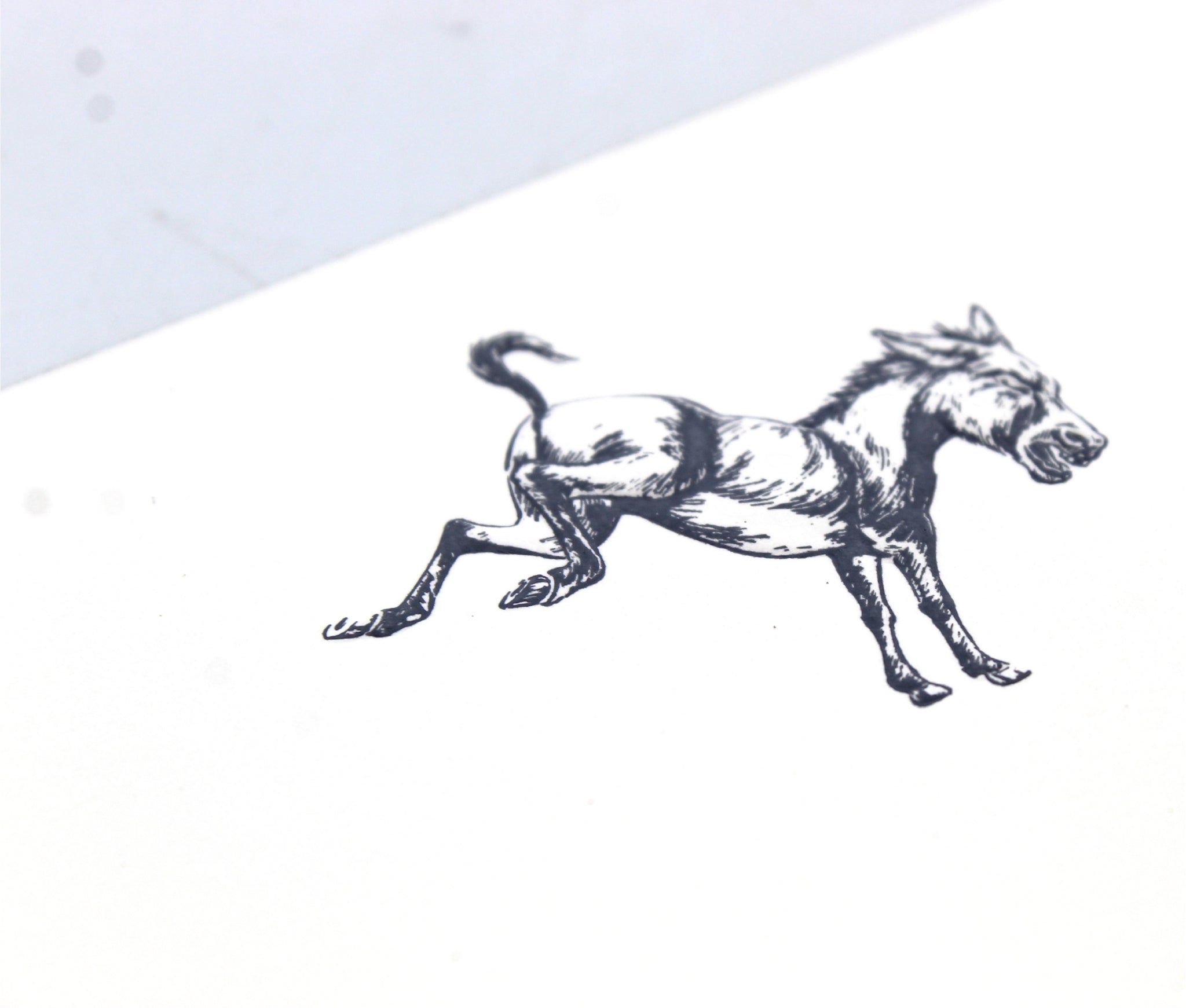 Limited Edition Donkey Embossed Notecards and Envelopes Set of 12 - The Great Republic