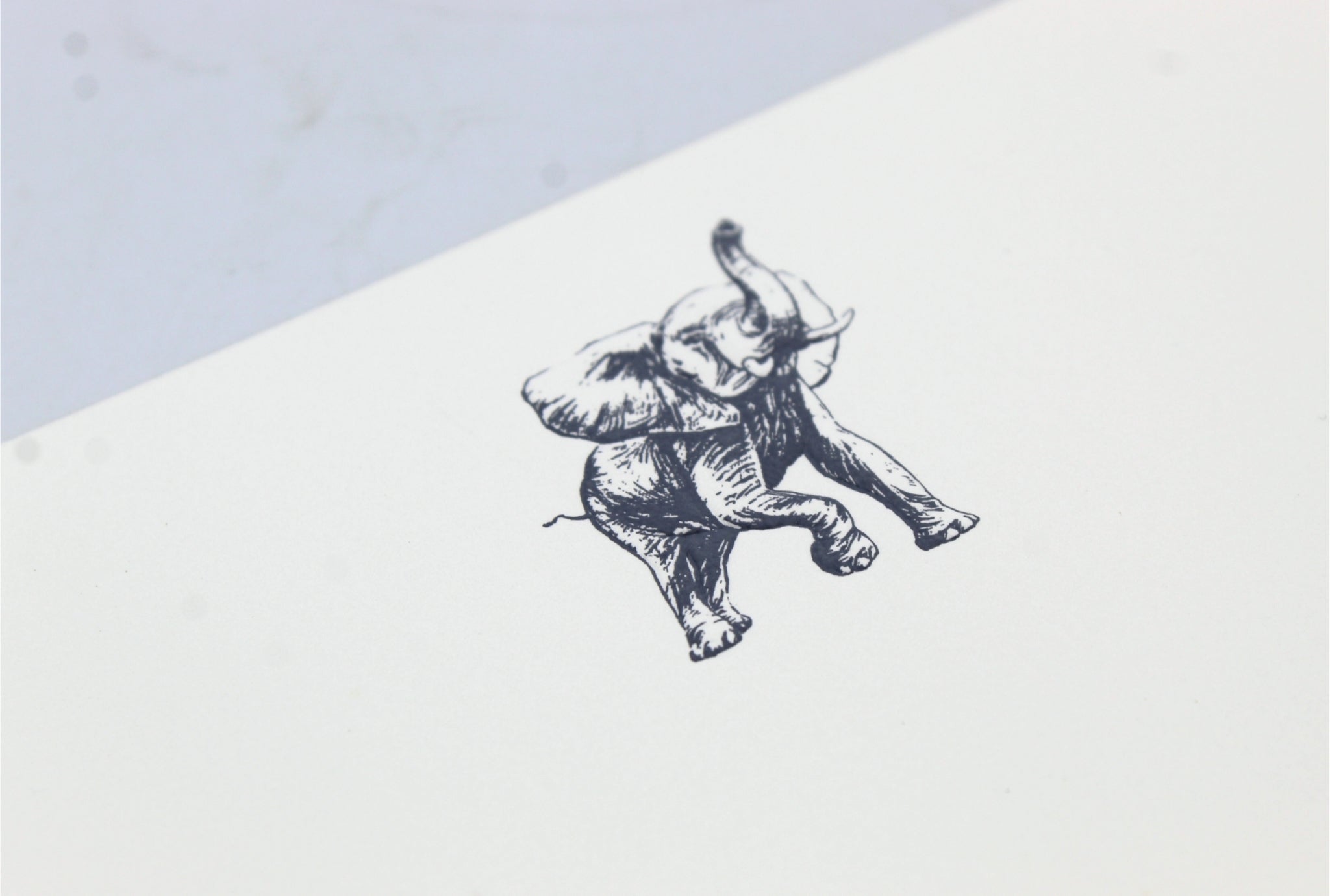 Limited Edition Elephant Embossed Notecards and Envelopes Set of 12 - The Great Republic