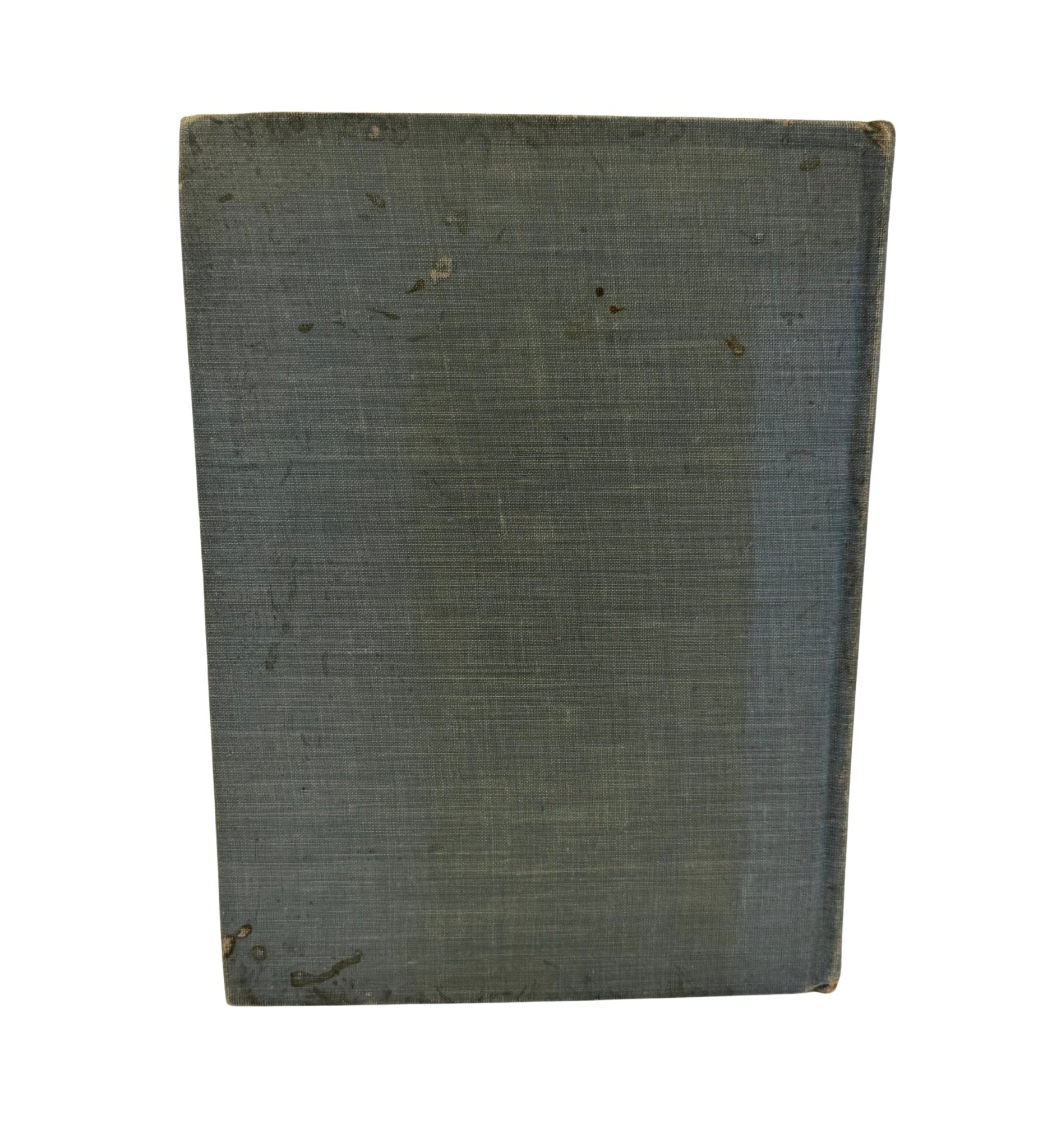 Our Martyred President: Memorial Life of William McKinley, Salesman's Copy, 1901, presented with Original Small Mourning Flag - The Great Republic