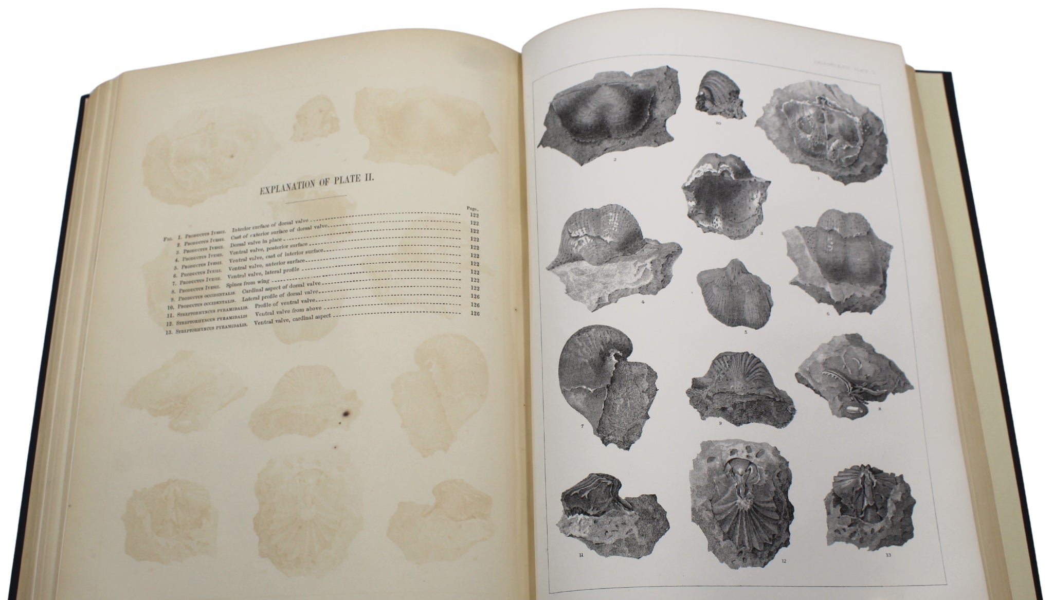 Report upon the Colorado River of the West by Joseph C. Ives, First Edition, Senate Issue, 1861 - The Great Republic