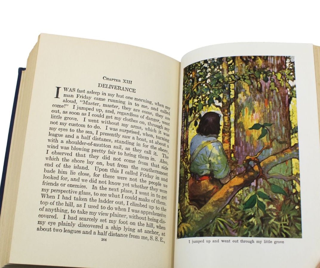 Robinson Crusoe by Daniel Defoe, Illustrated by Frank Goodwin, 1925 - The Great Republic