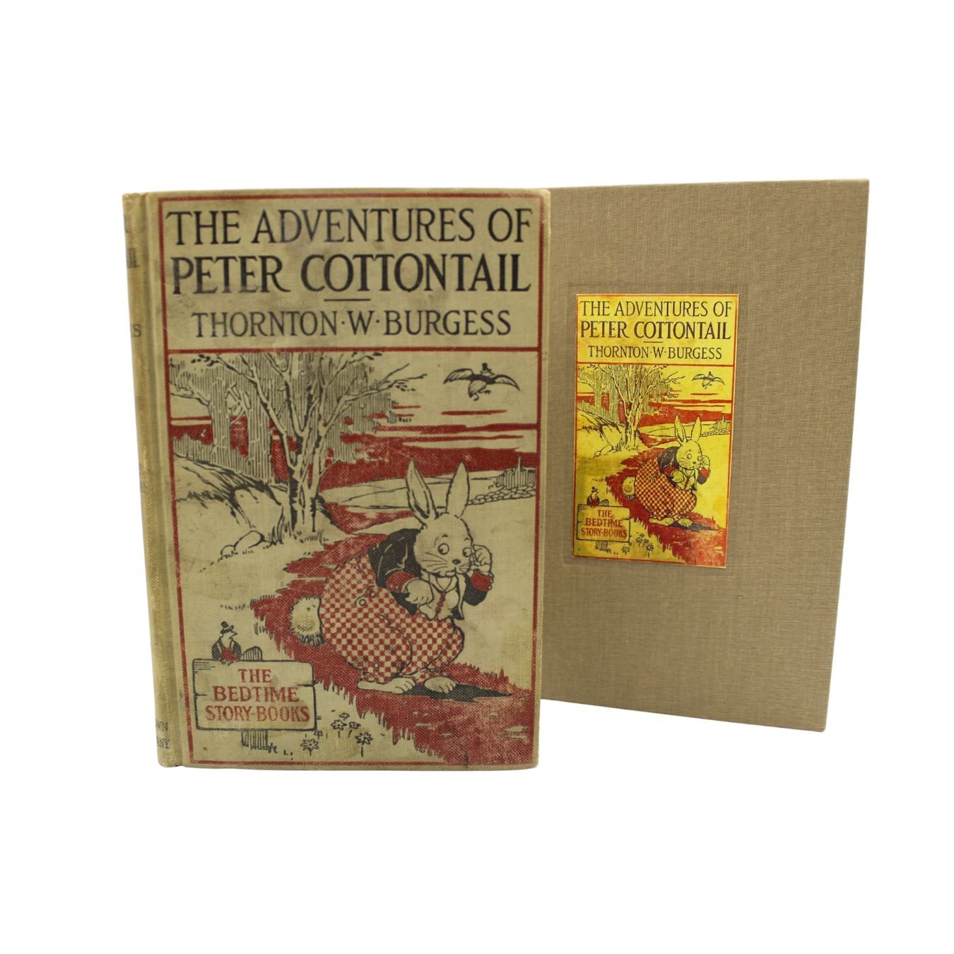 The Adventures of Peter Cottontail by Thornton W. Burgess, Illustrated by Harrison Cady, 1916 - The Great Republic