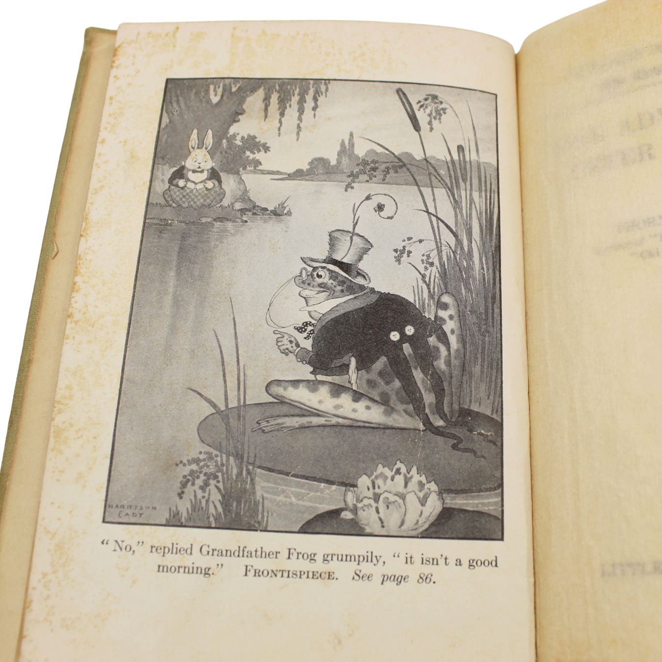 The Adventures of Peter Cottontail by Thornton W. Burgess, Illustrated by Harrison Cady, 1916 - The Great Republic