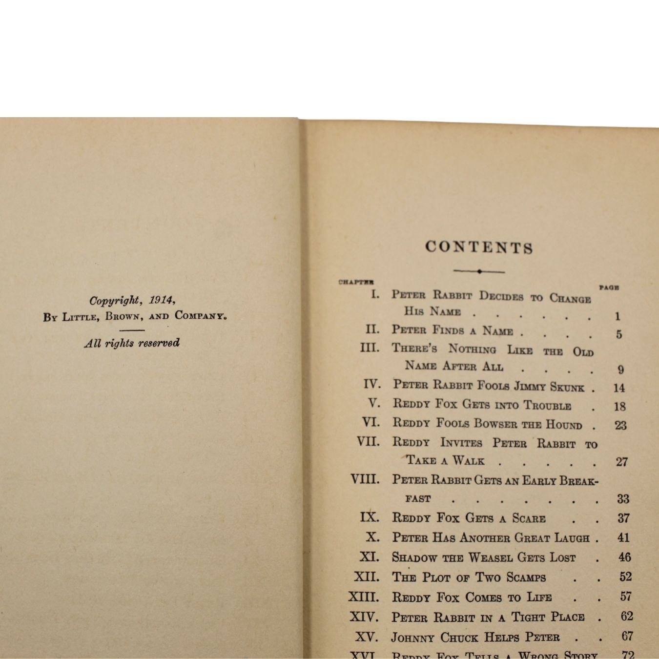 The Adventures of Peter Cottontail by Thornton W. Burgess, Illustrated by Harrison Cady, 1916 - The Great Republic