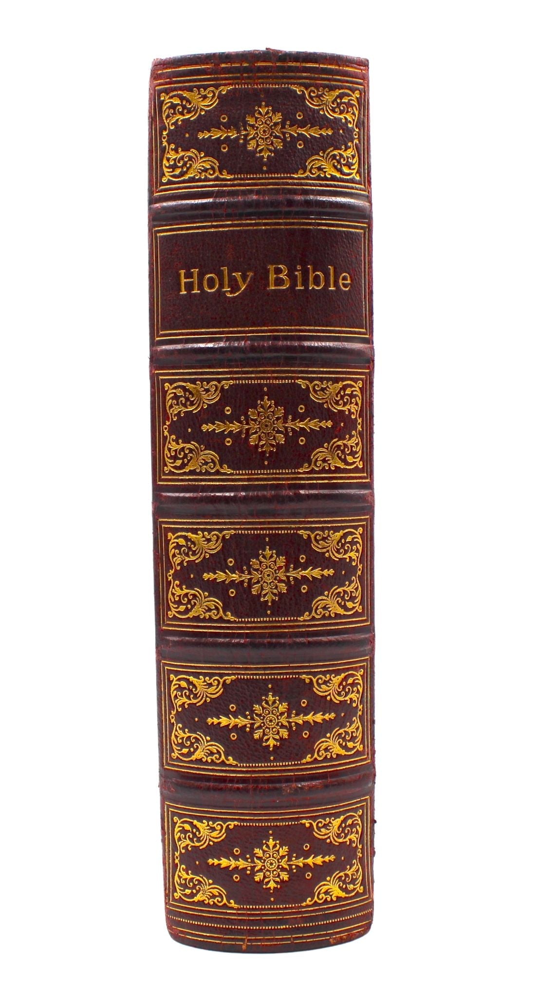 The Holy Bible, Containing the Old and New Testaments, Appointed to be Read in Churches, 1887 - The Great Republic
