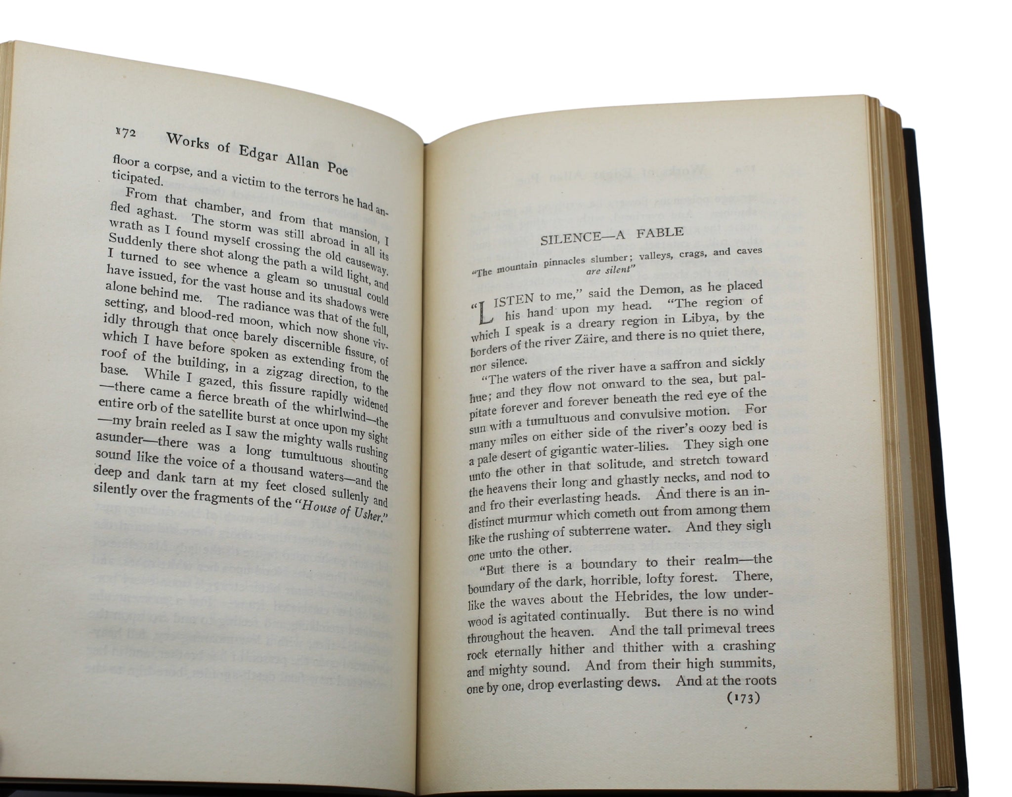 The Works of Edgar Allen Poe, Raven Edition, Five Volume Set, 1904 - The Great Republic