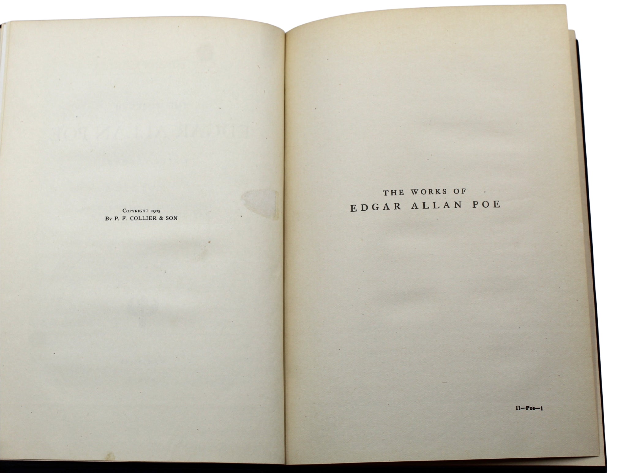 The Works of Edgar Allen Poe, Raven Edition, Five Volume Set, 1904 - The Great Republic