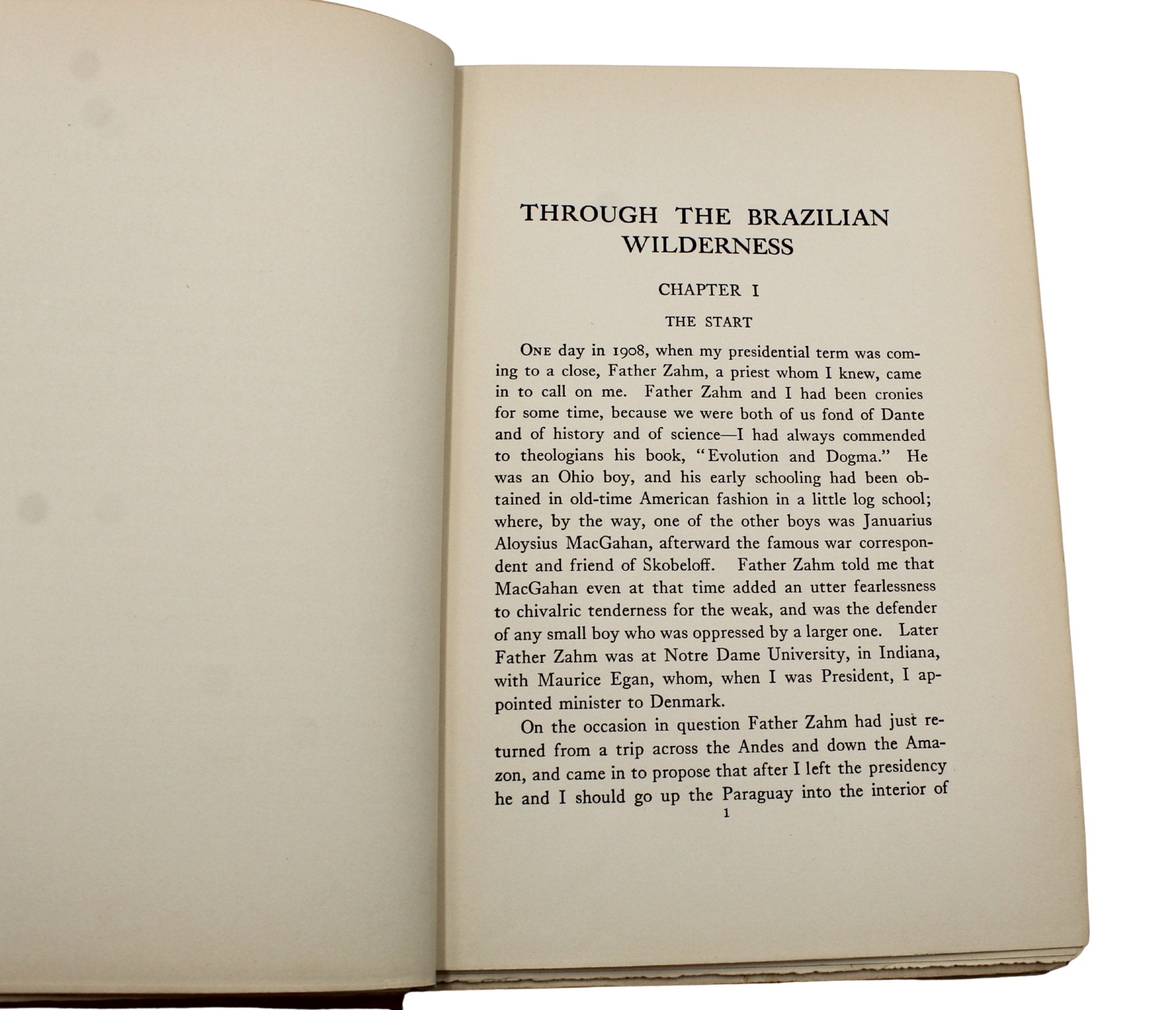 Through the Brazilian Wilderness by Theodore Roosevelt, First Edition, in Original Boards, 1914 - The Great Republic