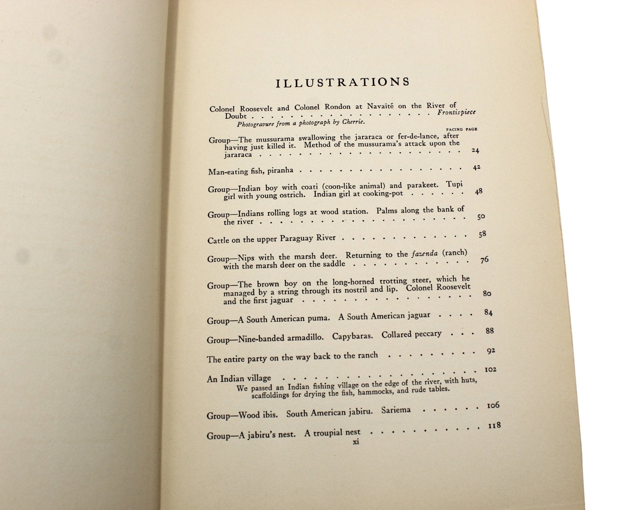 Through the Brazilian Wilderness by Theodore Roosevelt, First Edition, in Original Boards, 1914 - The Great Republic