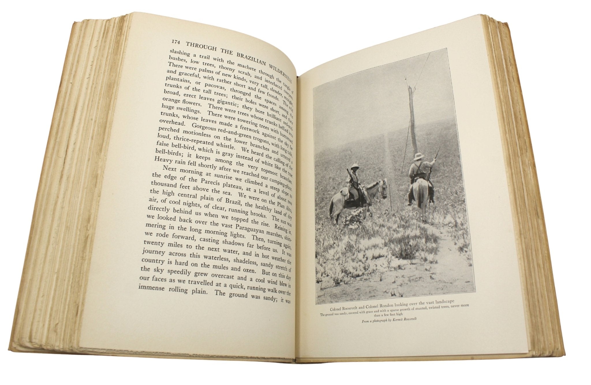 Through the Brazilian Wilderness by Theodore Roosevelt, First Edition, in Original Boards, 1914 - The Great Republic