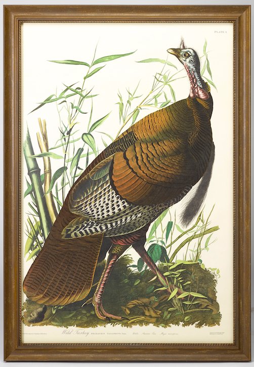 The Story of the First Thanksgiving - The Great Republic