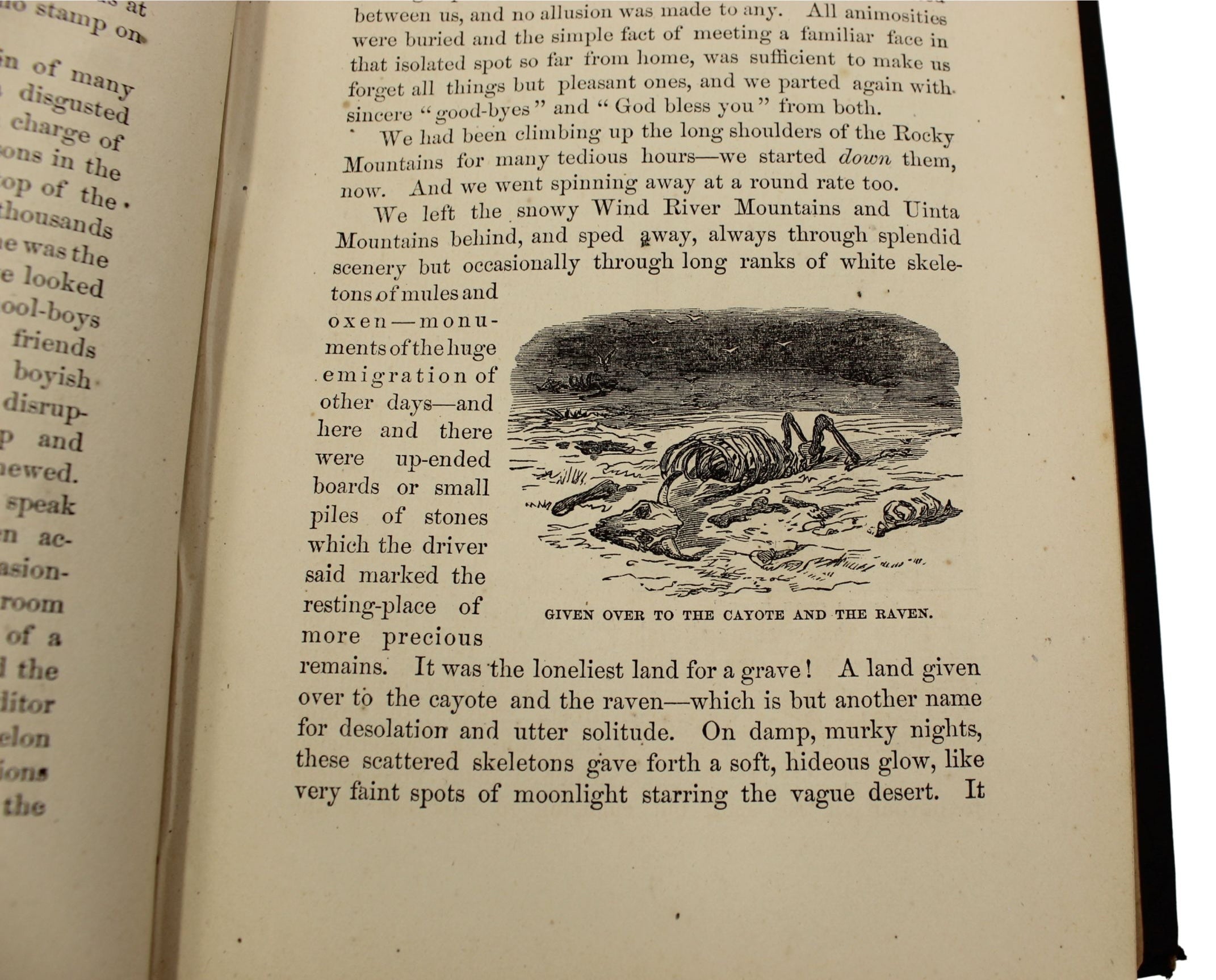 Roughing It by Mark Twain, First U.S. Edition, Later Printing, in Original Boards, 1872