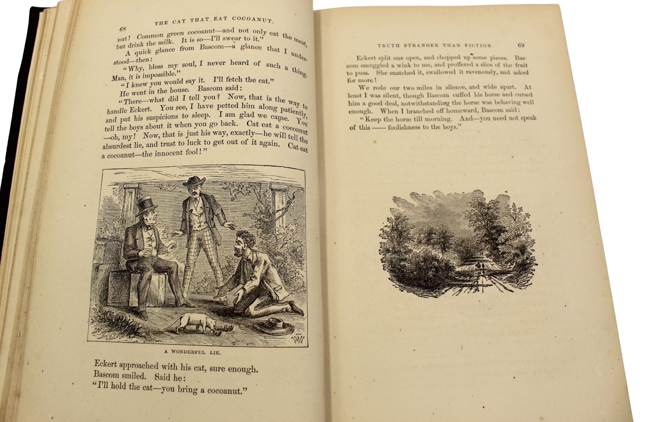 Roughing It by Mark Twain, First U.S. Edition, Later Printing, in Original Boards, 1872