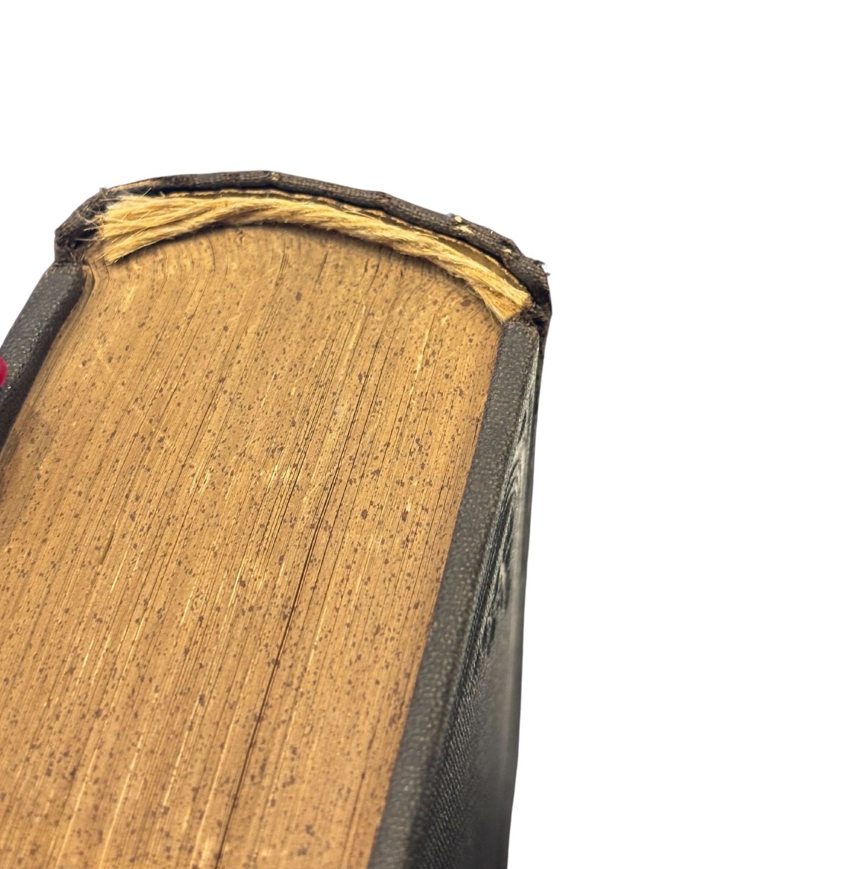 Roughing It by Mark Twain, First U.S. Edition, Later Printing, in Original Boards, 1872
