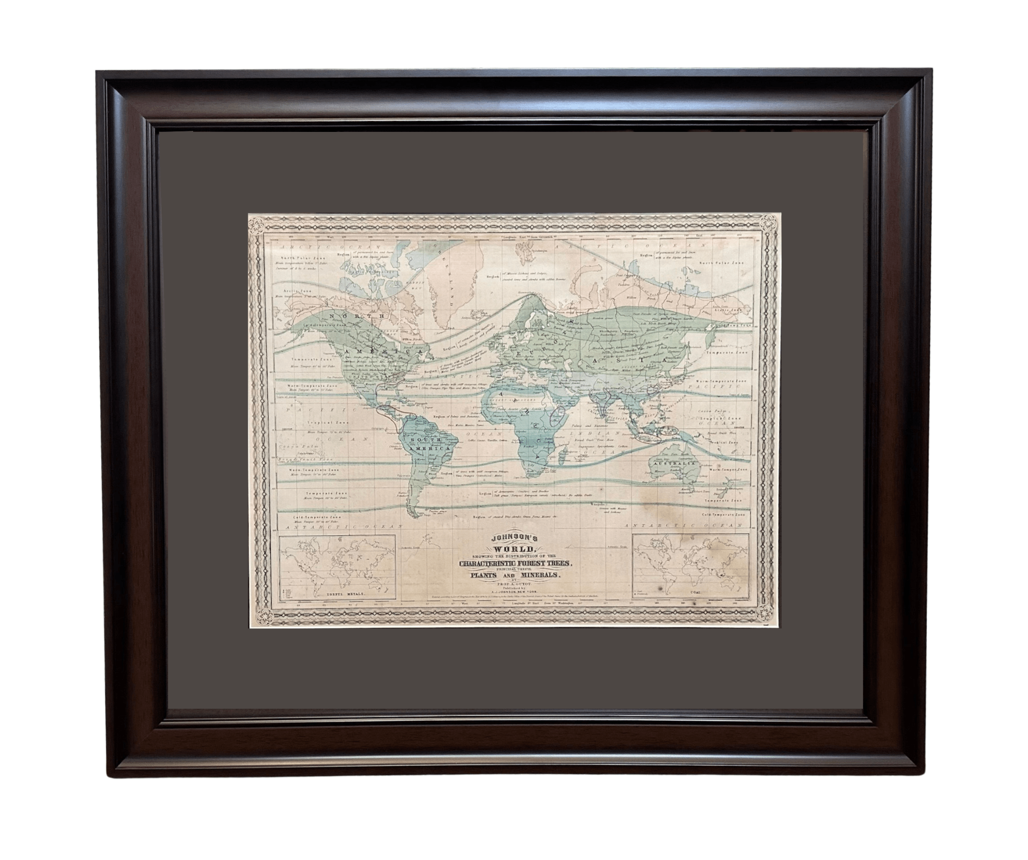 1870 "Johnson's World, Showing the Distribution of the Characteristic Forest Trees, Principal Useful Plants and Minerals" by Prof. A. Guyot, Published by A. J. Johnson - The Great Republic
