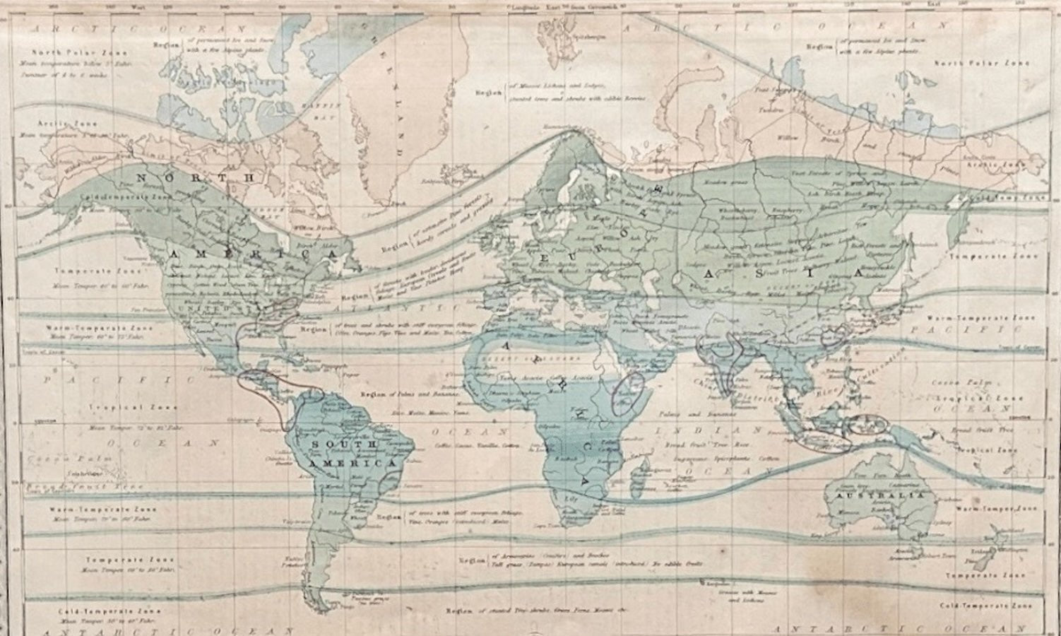 1870 "Johnson's World, Showing the Distribution of the Characteristic Forest Trees, Principal Useful Plants and Minerals" by Prof. A. Guyot, Published by A. J. Johnson - The Great Republic