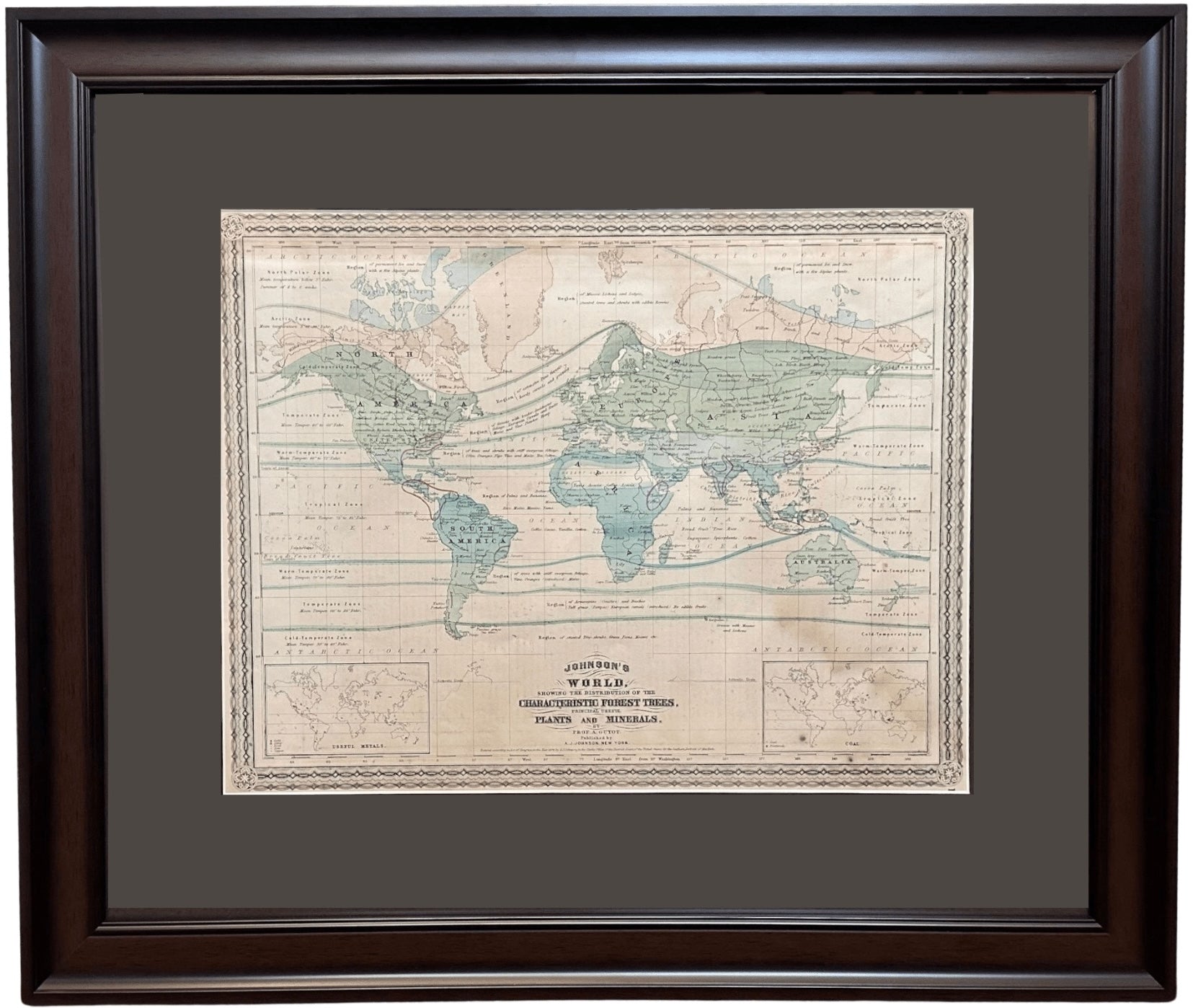 1870 "Johnson's World, Showing the Distribution of the Characteristic Forest Trees, Principal Useful Plants and Minerals" by Prof. A. Guyot, Published by A. J. Johnson - The Great Republic