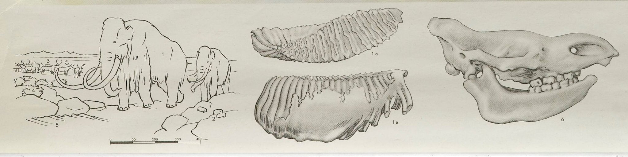 1955 "Quaternary: Ice - Age Landscape" Woolly Mammoth Wall Hanging by Fritz Zerritsch - The Great Republic