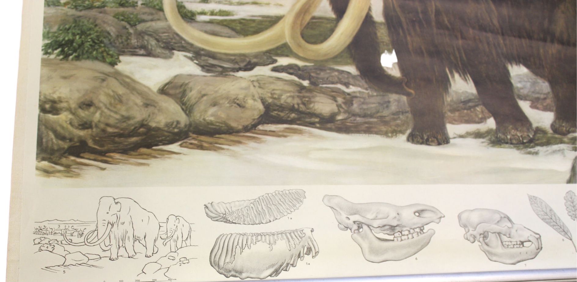 1955 "Quaternary: Ice - Age Landscape" Woolly Mammoth Wall Hanging by Fritz Zerritsch - The Great Republic