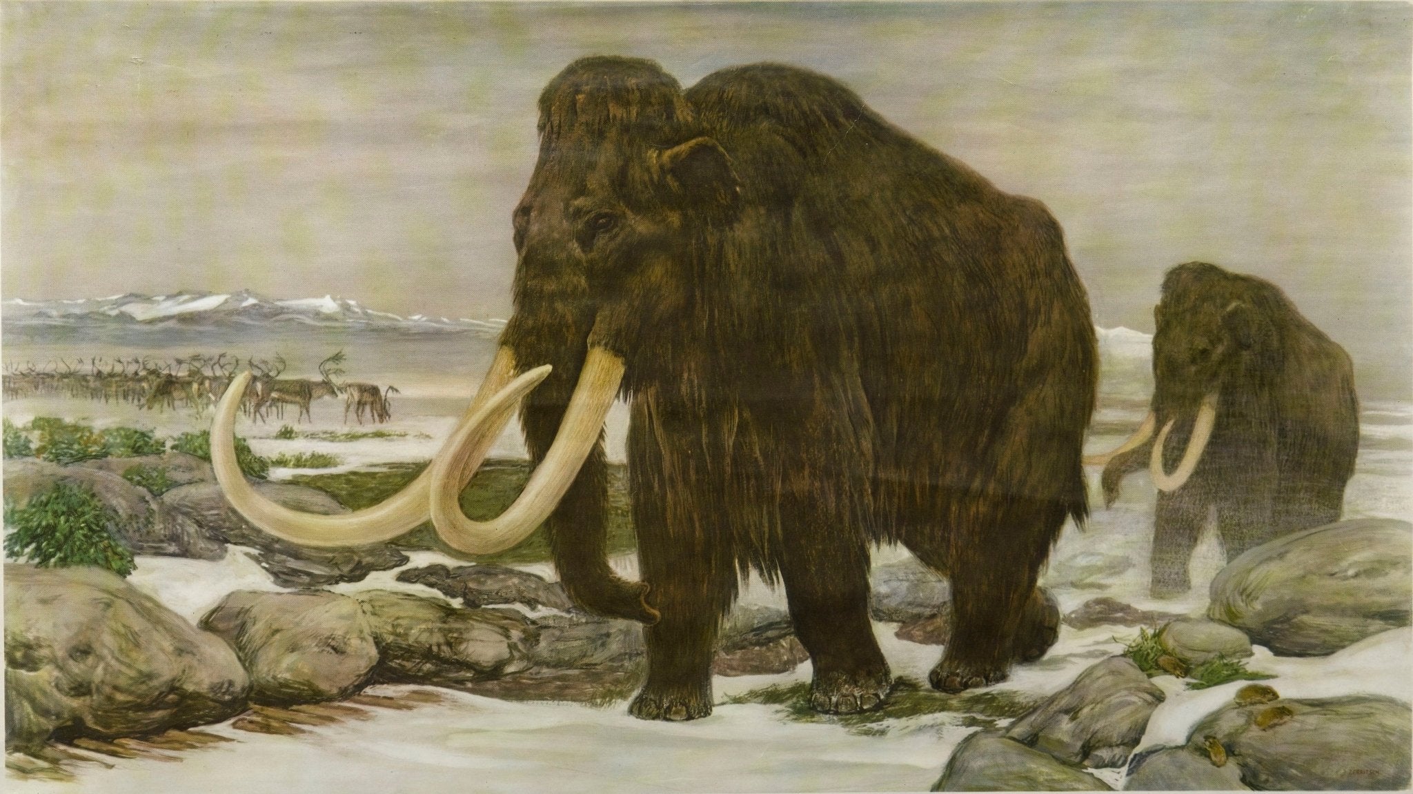 1955 "Quaternary: Ice - Age Landscape" Woolly Mammoth Wall Hanging by Fritz Zerritsch - The Great Republic