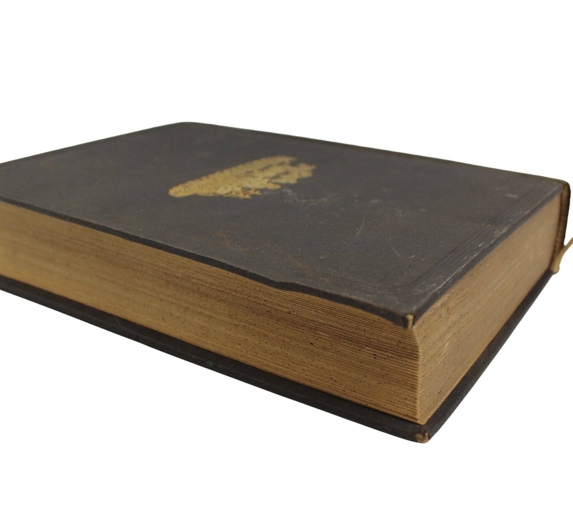 Roughing It by Mark Twain, First U.S. Edition, Later Printing, in Original Boards, 1872