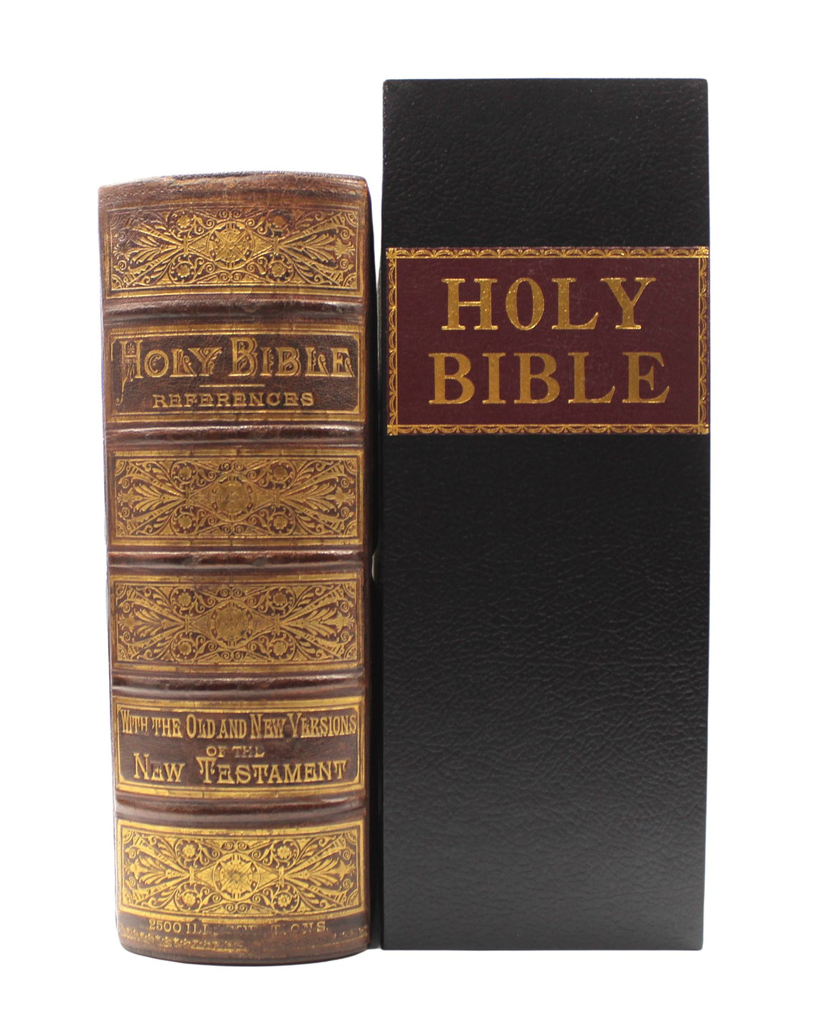 The Holy Bible, Containing the Old and New Testaments and Apocrypha, Standard Edition, Illustrated, 1885