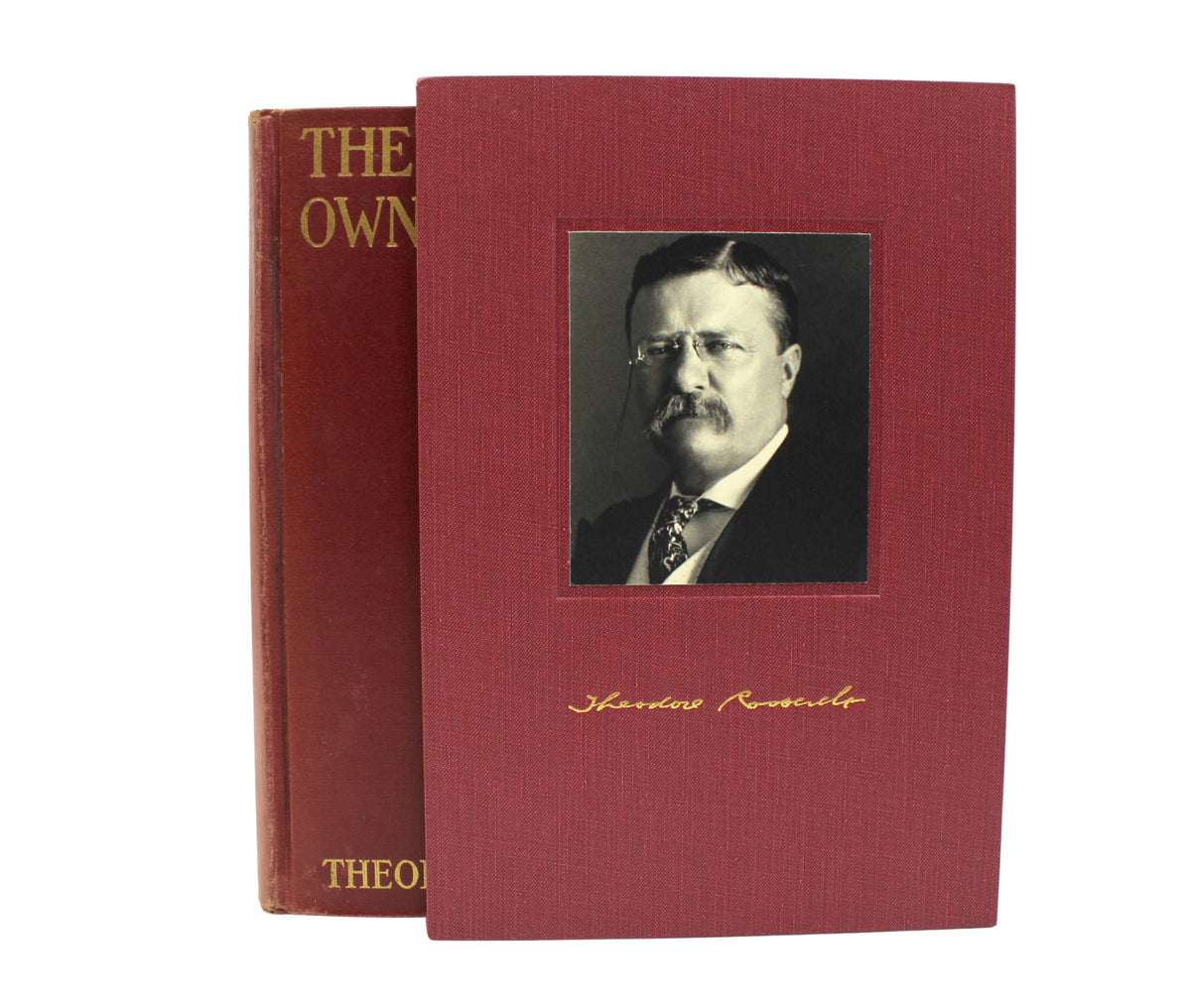 The Foes of Our Own Household by Theodore Roosevelt, First Edition, 1917