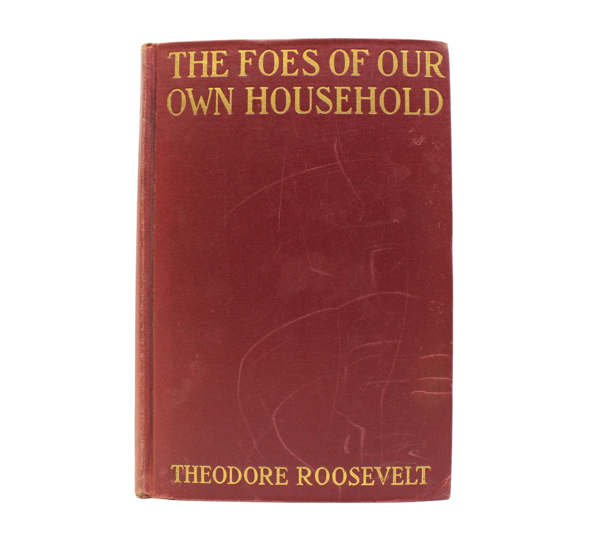 The Foes of Our Own Household by Theodore Roosevelt, First Edition, 1917