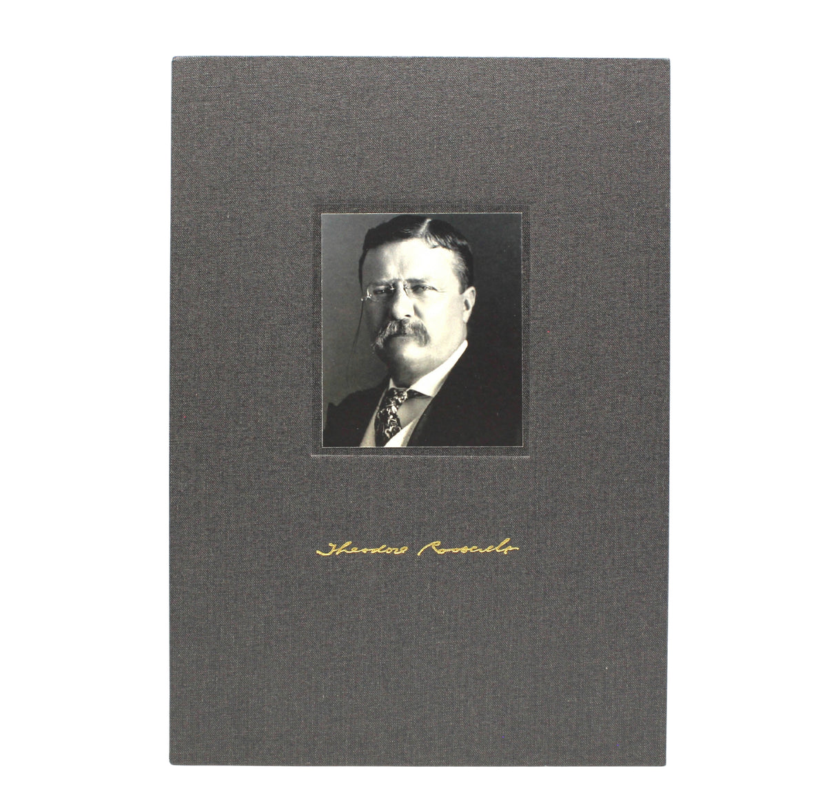 A Memorial to Theodore Roosevelt, Authorized by the State of New York Legislature, 1919
