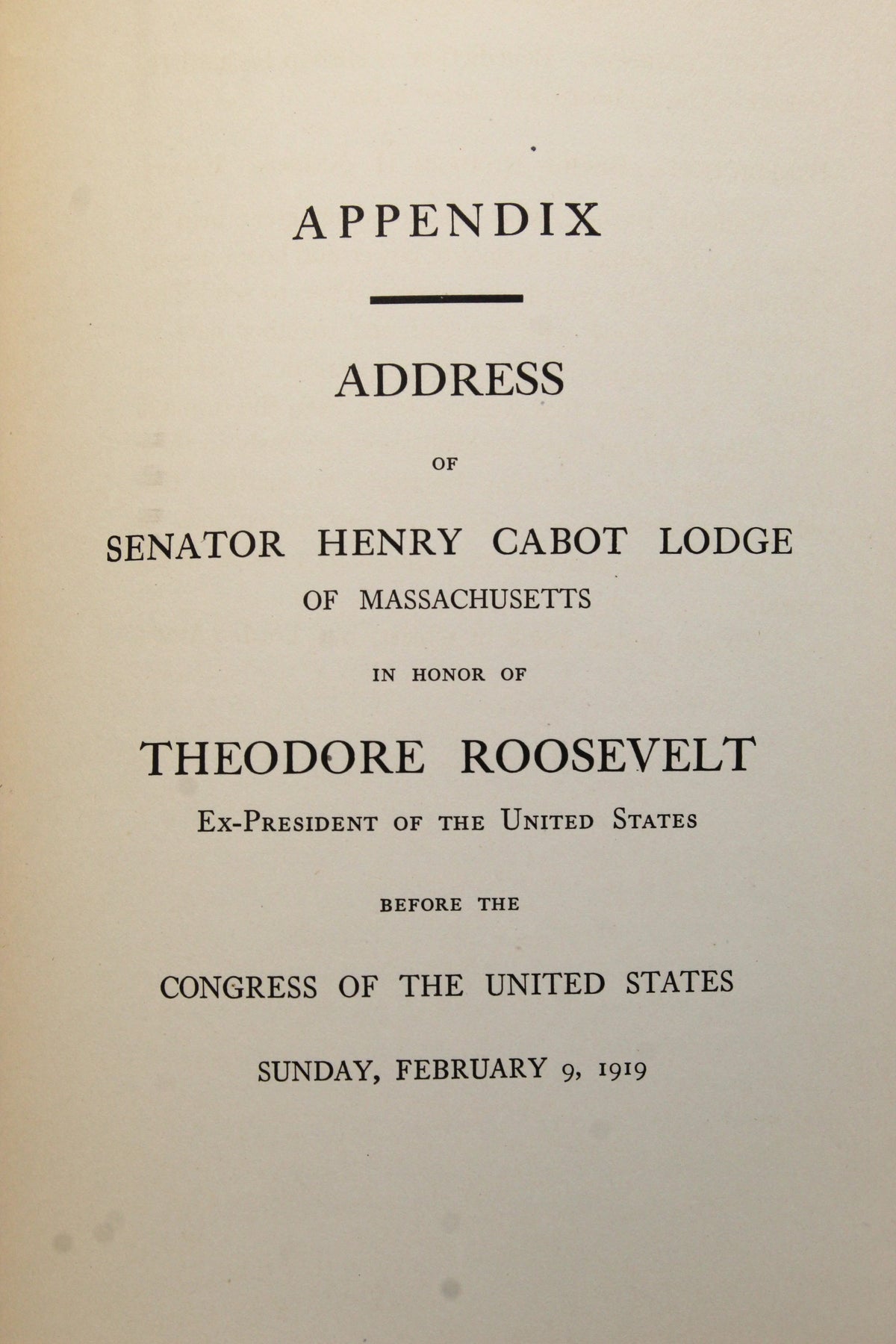 A Memorial to Theodore Roosevelt, Authorized by the State of New York Legislature, 1919