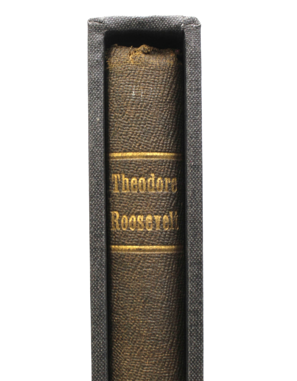 A Memorial to Theodore Roosevelt, Authorized by the State of New York Legislature, 1919