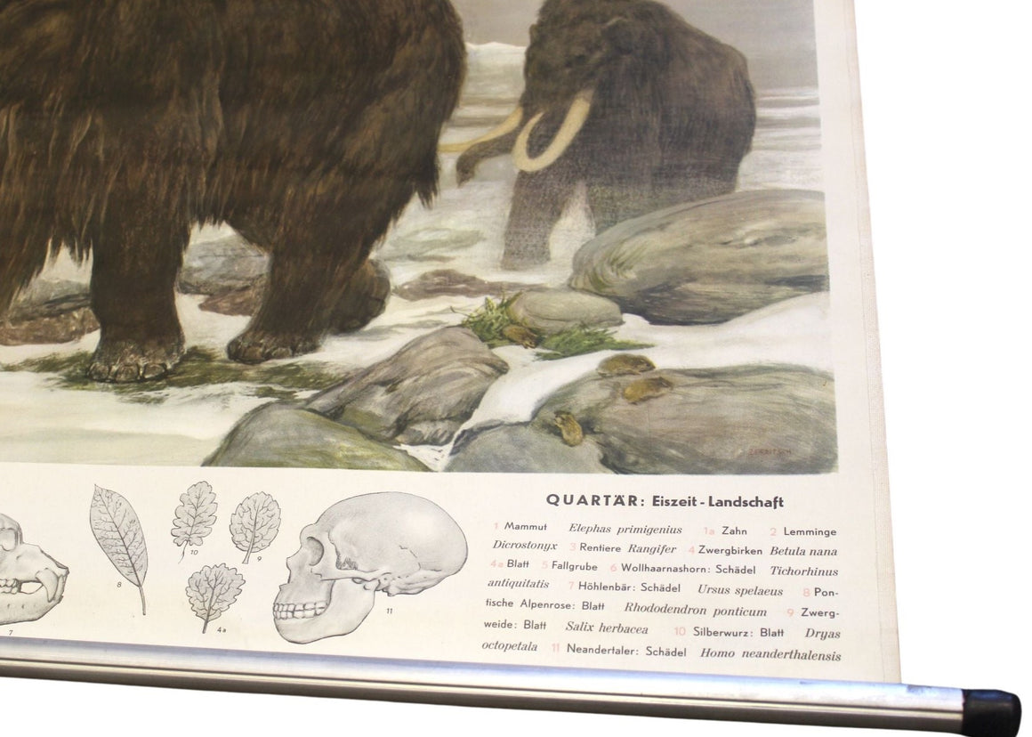 1955 "Quaternary: Ice-Age Landscape" Woolly Mammoth Wall Hanging by Fritz Zerritsch
