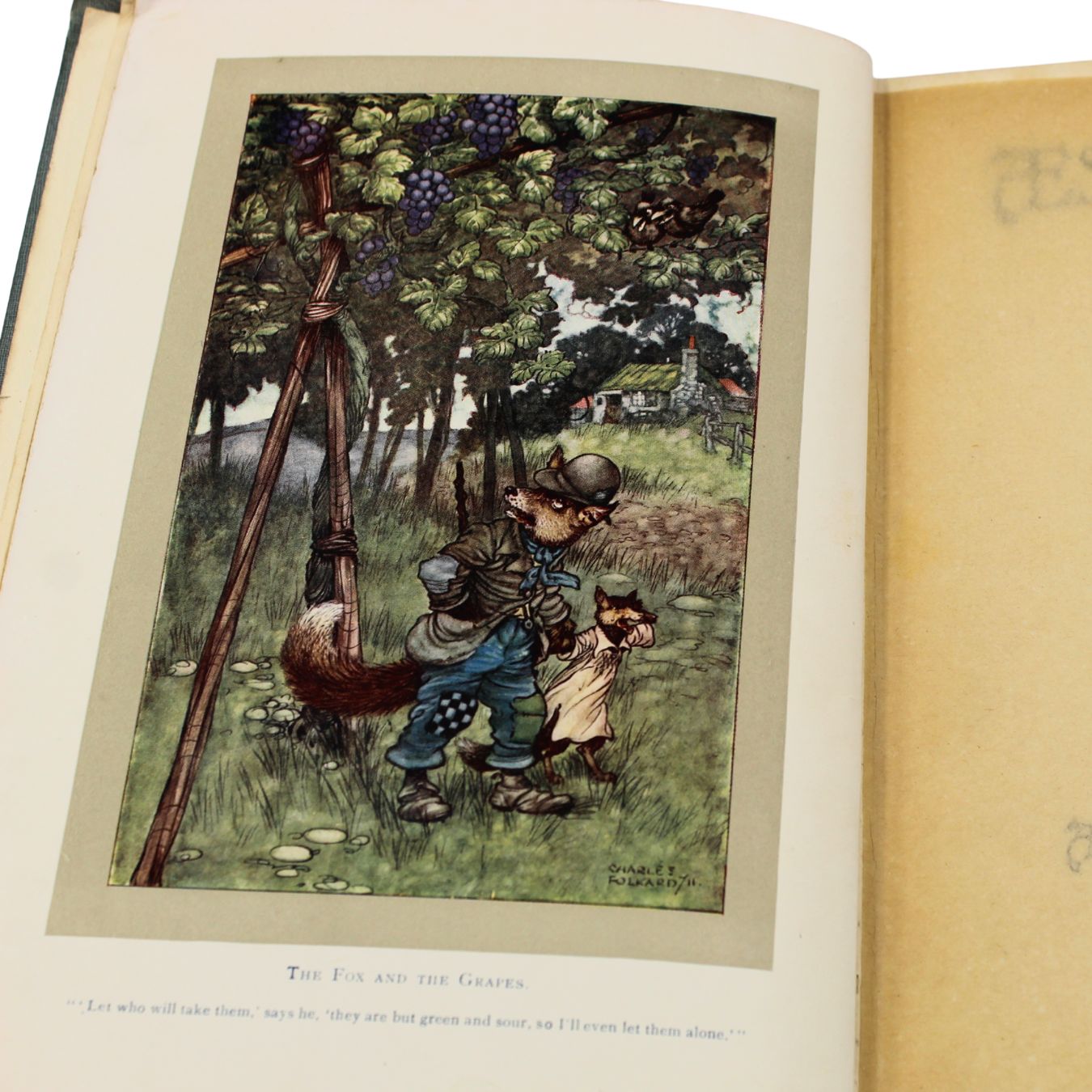 Aesop's Fables, Illustrated by Charles Folkard, 1916 - The Great Republic