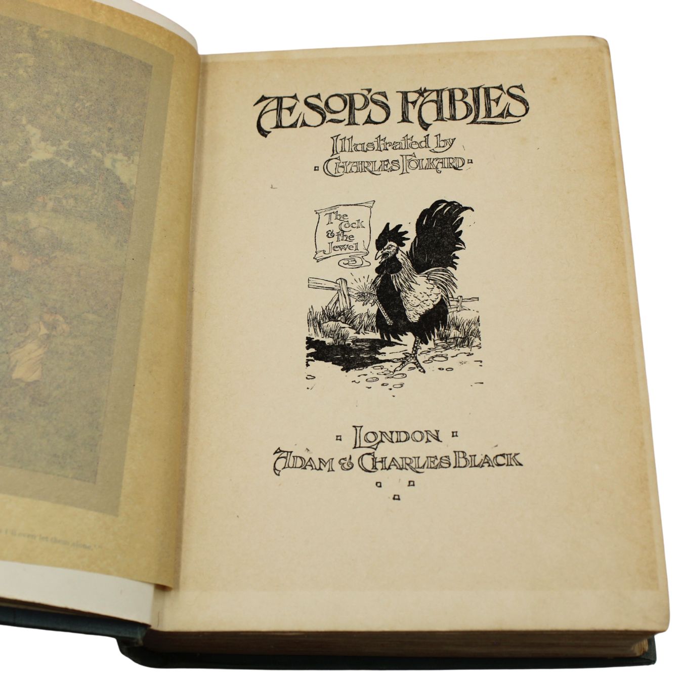Aesop's Fables, Illustrated by Charles Folkard, 1916 - The Great Republic