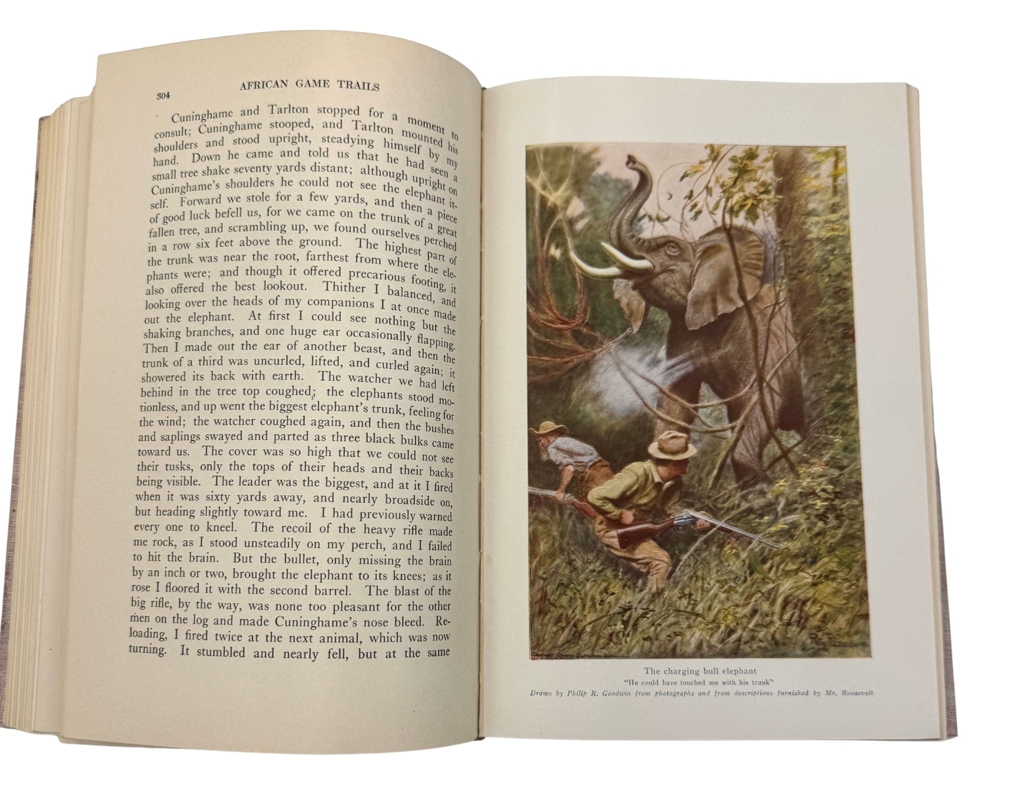 African Game Trails by Theodore Roosevelt, Scarce Syndicate Publishing Company Edition, 1910 - The Great Republic