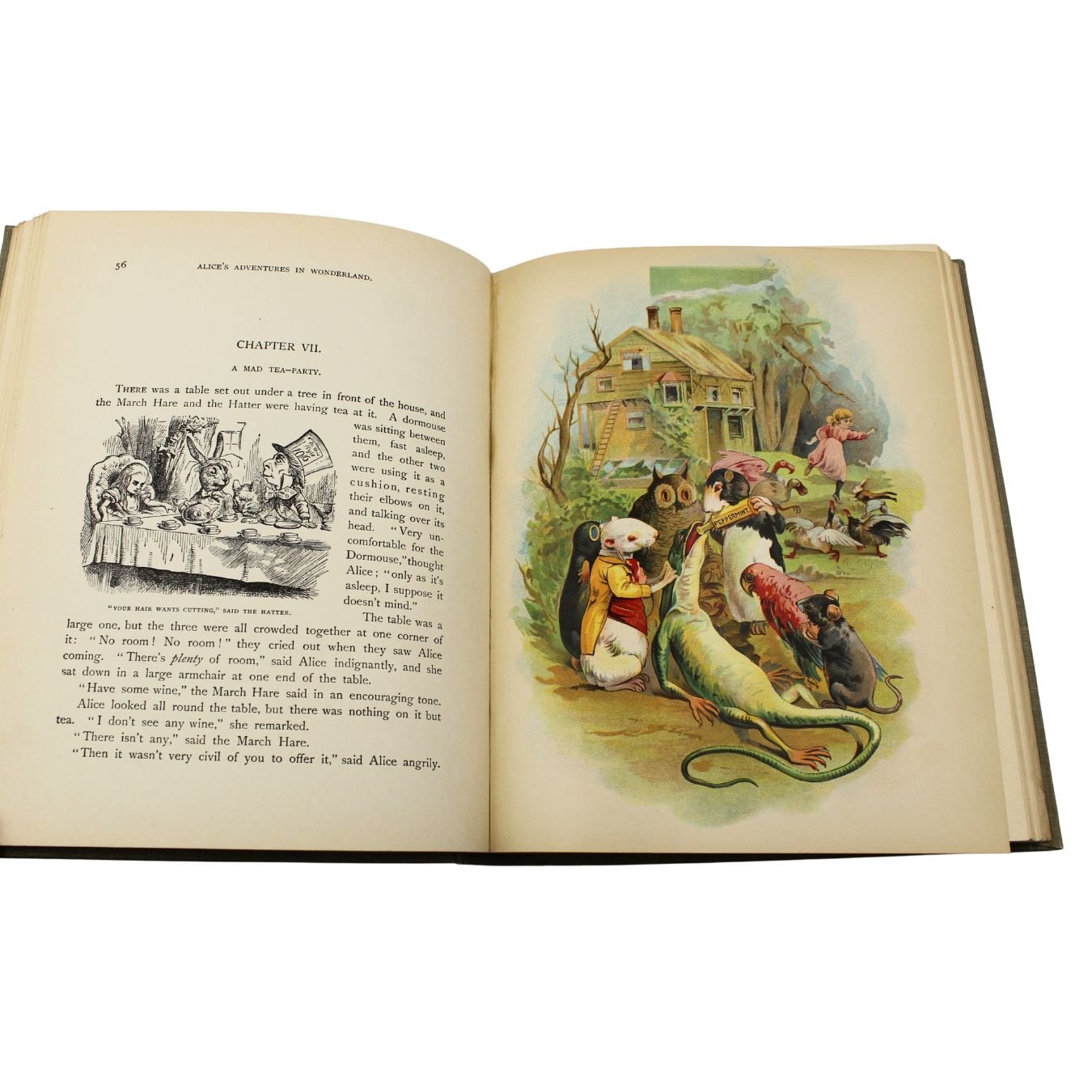 Alice's Adventures in Wonderland [and] Through the Looking - Glass by Lewis Carroll, Illustrated by John Tenniel, 1898 - The Great Republic