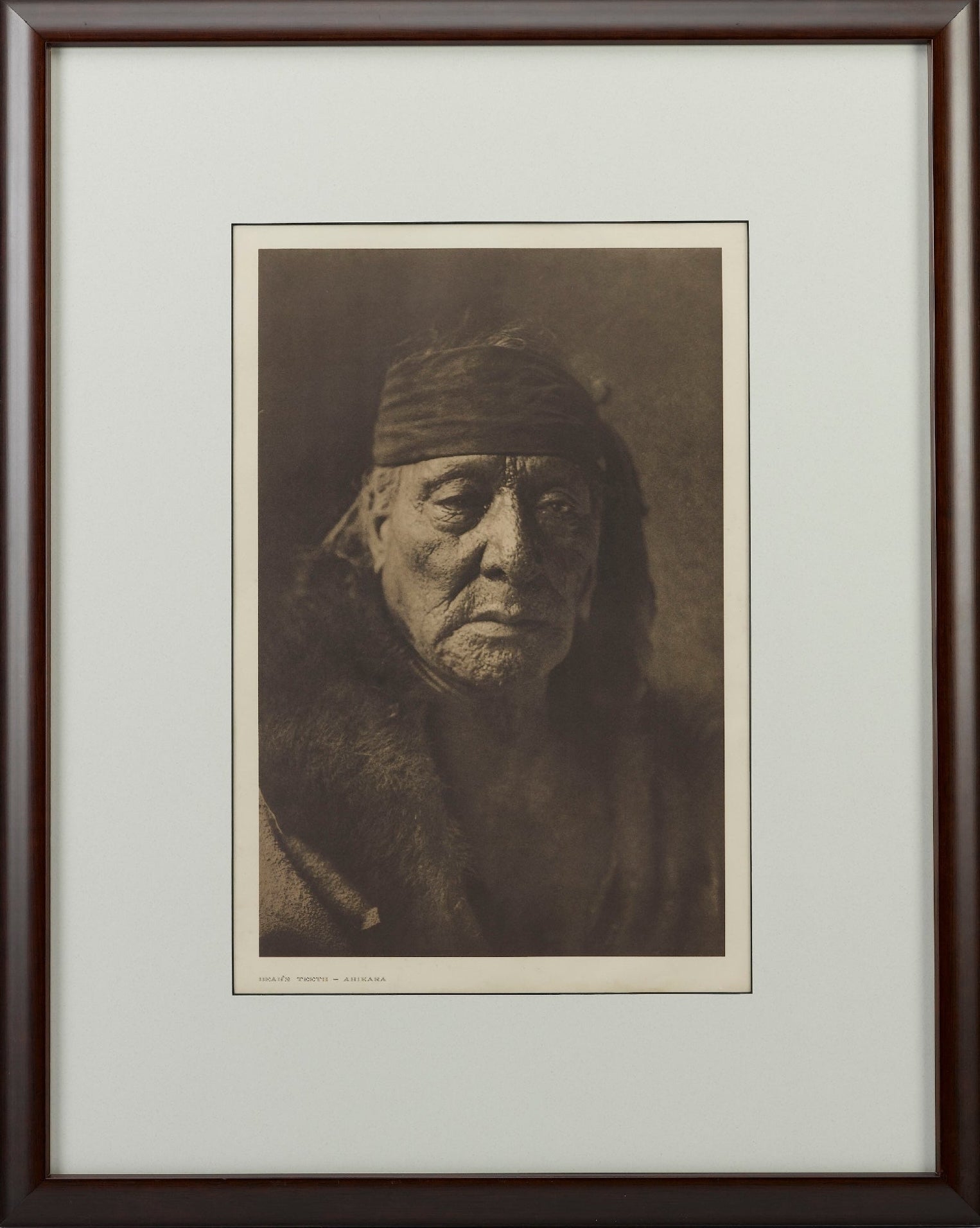 "Bear's Teeth - Arikara" by Edward S. Curtis, 1908 - The Great Republic