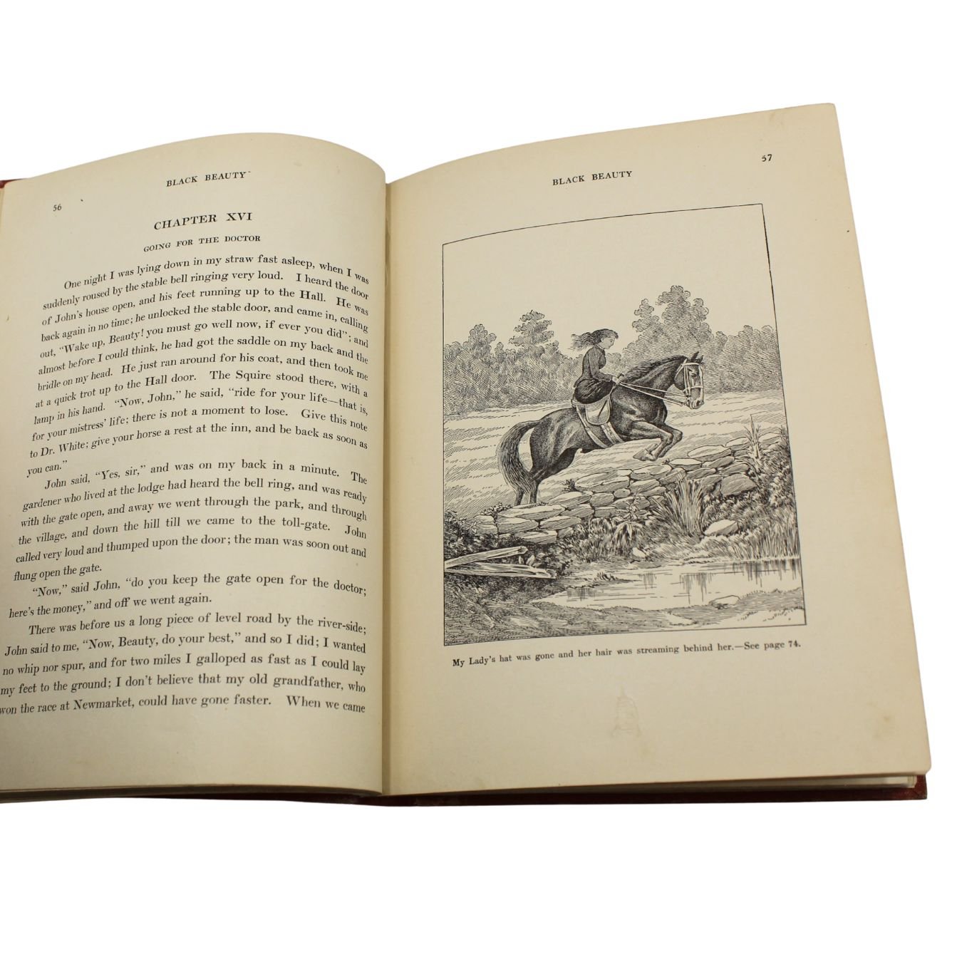 Black Beauty: The Autobiography of a Horse, by Anna Sewell, Illustrated, [n.d.] - The Great Republic