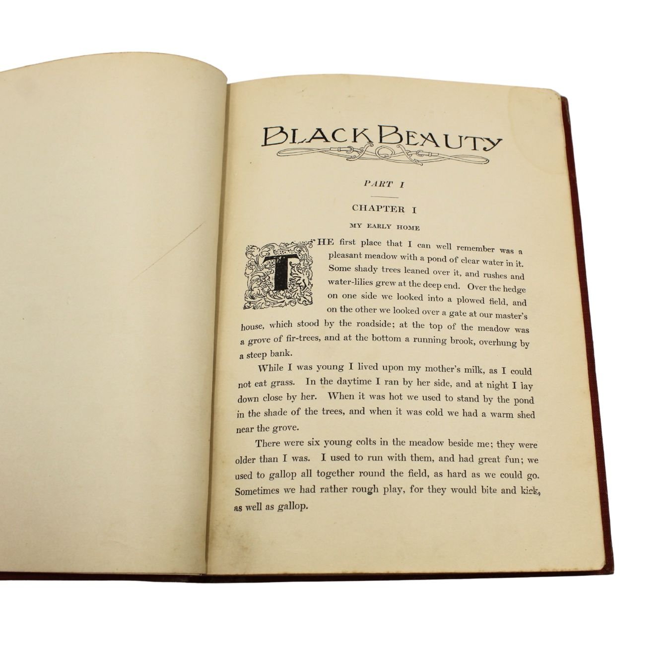Black Beauty: The Autobiography of a Horse, by Anna Sewell, Illustrated, [n.d.] - The Great Republic
